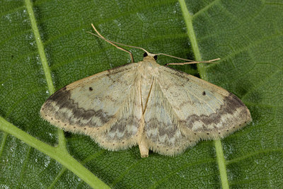 BUITEN BEELD Foto: 286875
