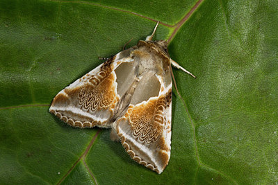 BUITEN BEELD Foto: 286891