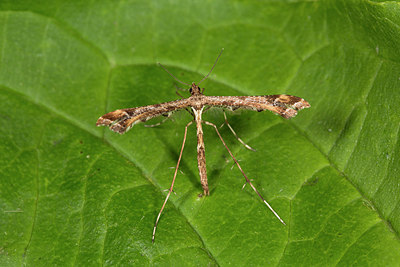BUITEN BEELD Foto: 286893