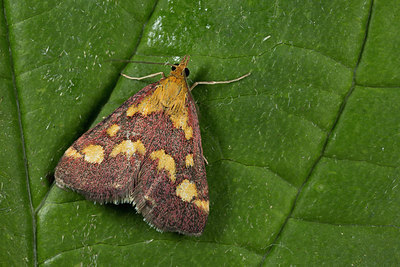 BUITEN BEELD Foto: 286897