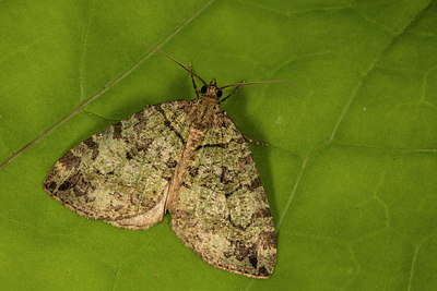 BUITEN BEELD Foto: 286910