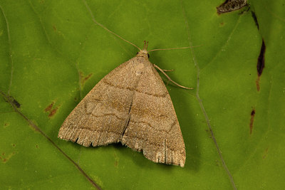 BUITEN BEELD Foto: 286911