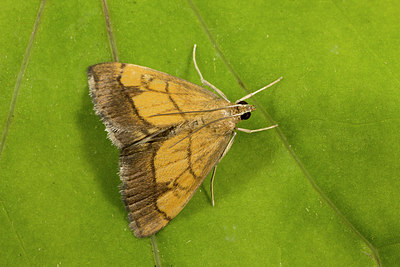 BUITEN BEELD Foto: 286927