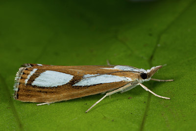 BUITEN BEELD Foto: 286932