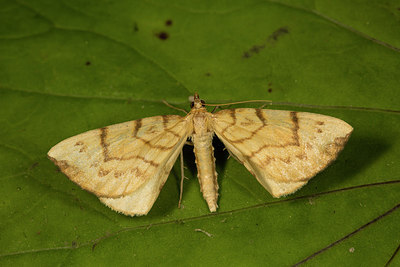 BUITEN BEELD Foto: 286955
