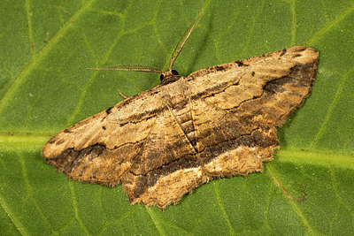 BUITEN BEELD Foto: 286988