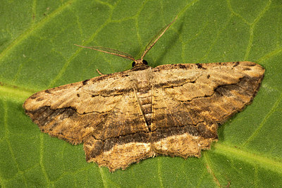 BUITEN BEELD Foto: 286989