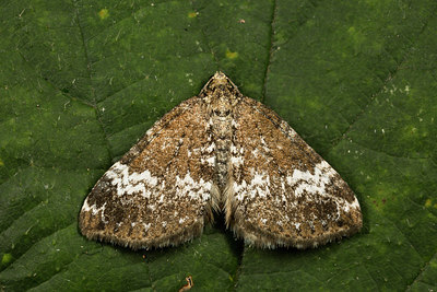 BUITEN BEELD Foto: 287015