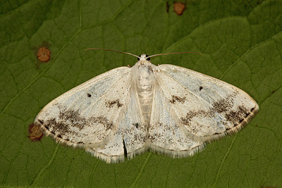 BUITEN BEELD Foto: 287020