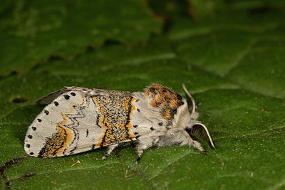BUITEN BEELD Foto: 287082
