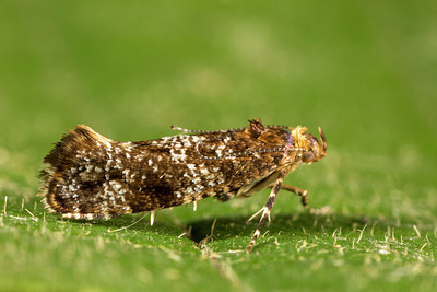 BUITEN BEELD Foto: 287140