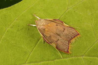 BUITEN BEELD Foto: 287142