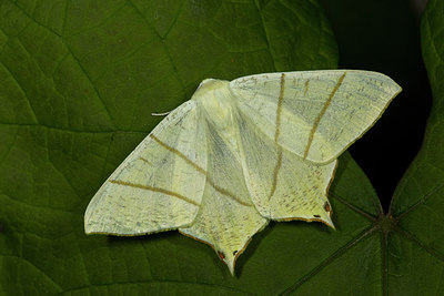 BUITEN BEELD Foto: 287158