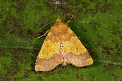 BUITEN BEELD Foto: 287167