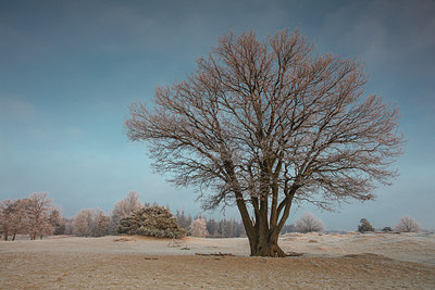 BUITEN BEELD Foto: 287262
