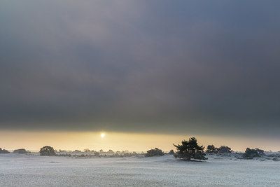 BUITEN BEELD Foto: 287265