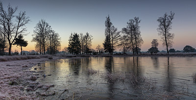 BUITEN BEELD Foto: 287267