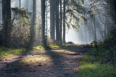 BUITEN BEELD Foto: 287273