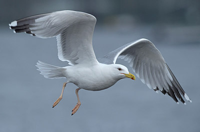 BUITEN BEELD Foto: 287312