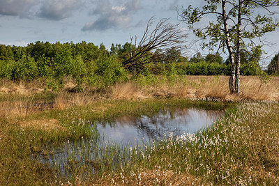 BUITEN BEELD Foto: 287381
