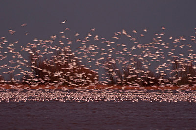 BUITEN BEELD Foto: 287403