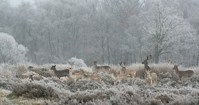 BUITEN BEELD Foto: 287458