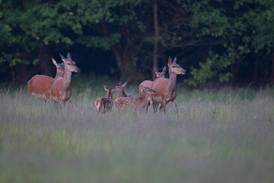 BUITEN BEELD Foto: 287470