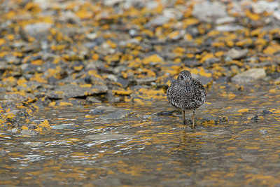 BUITEN BEELD Foto: 287493