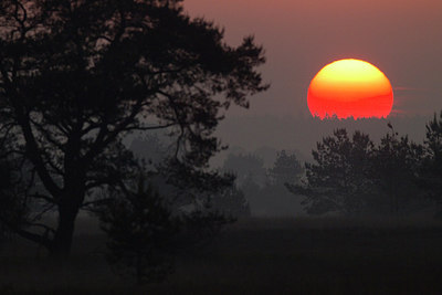 BUITEN BEELD Foto: 287556