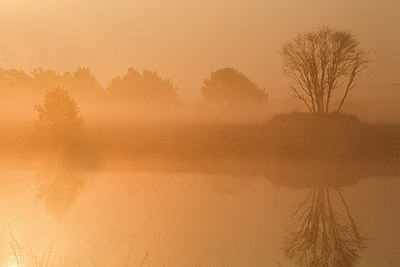 BUITEN BEELD Foto: 287557