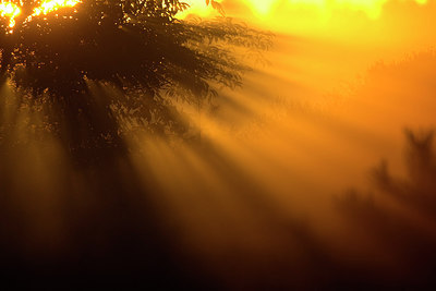 BUITEN BEELD Foto: 287561