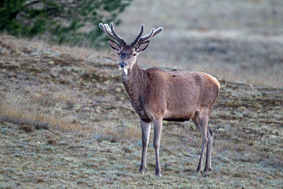 BUITEN BEELD Foto: 287610
