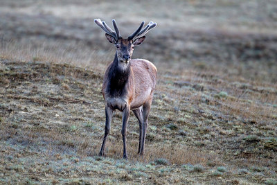 BUITEN BEELD Foto: 287611