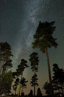 BUITEN BEELD Foto: 287683