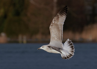 BUITEN BEELD Foto: 287740