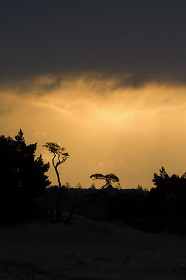 BUITEN BEELD Foto: 287763