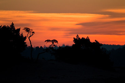 BUITEN BEELD Foto: 287765