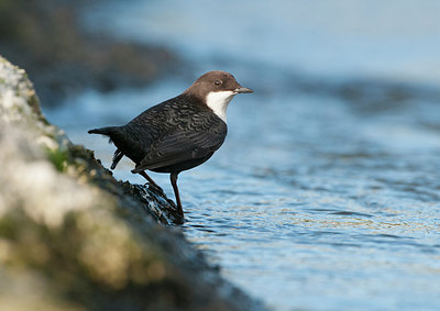 BUITEN BEELD Foto: 287815