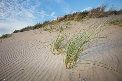 BUITEN BEELD Foto: 288001