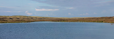 BUITEN BEELD Foto: 288104