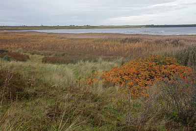 BUITEN BEELD Foto: 288122