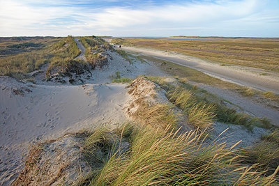 BUITEN BEELD Foto: 288123