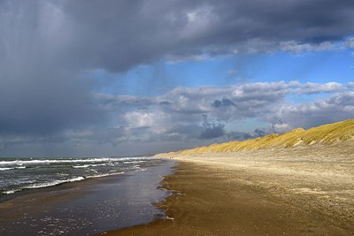 BUITEN BEELD Foto: 288124