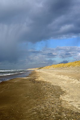 BUITEN BEELD Foto: 288125