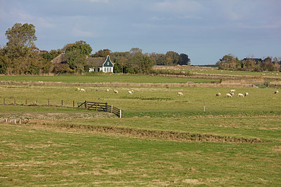 BUITEN BEELD Foto: 288144