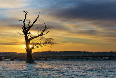 BUITEN BEELD Foto: 288309