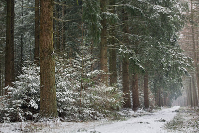 BUITEN BEELD Foto: 288341