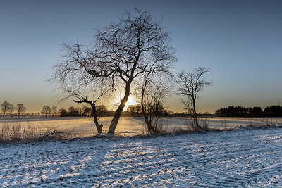 BUITEN BEELD Foto: 288349