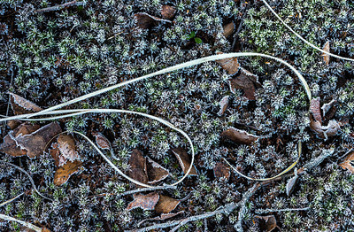 BUITEN BEELD Foto: 288380
