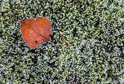BUITEN BEELD Foto: 288382
